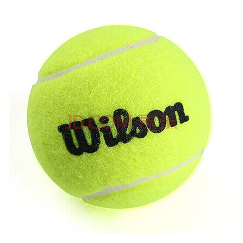 潘展乐在健 潘展乐在健