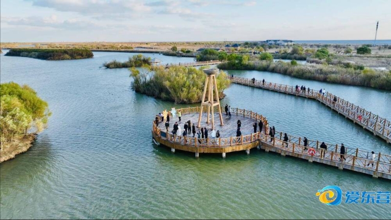 案例分析中 案例分析中