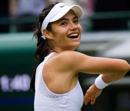 适应和调整 适应和调整